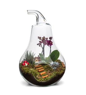 Bornova Çiçekçi , Çiçekçi Bornova , İzmir Bornova Çiçekçi